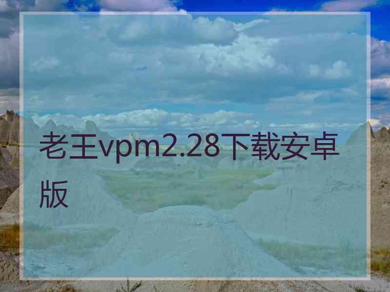 老王vpm2.28下载安卓版