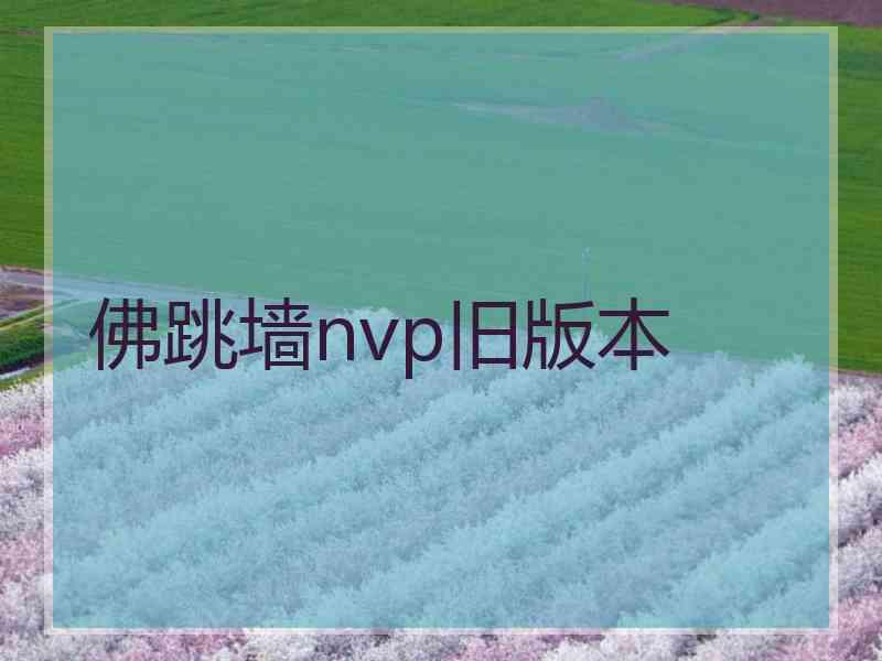 佛跳墙nvp旧版本