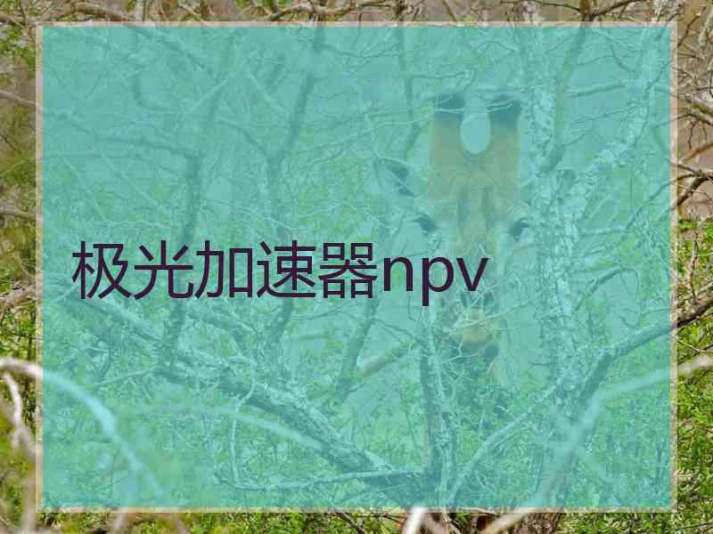 极光加速器npv