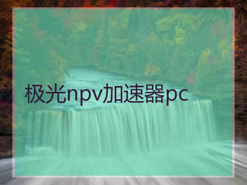 极光npv加速器pc