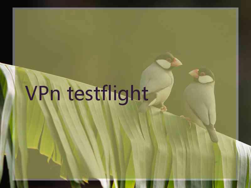 VPn testflight