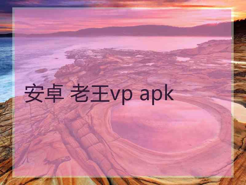 安卓 老王vp apk