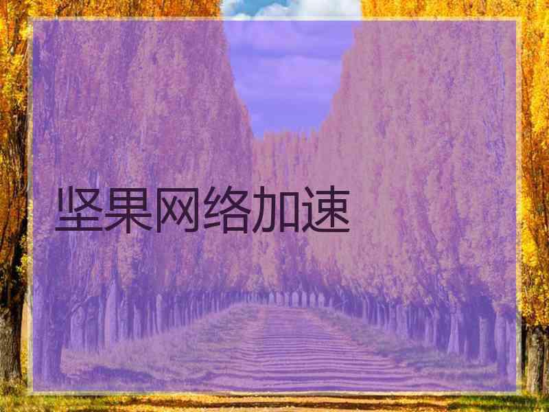 坚果网络加速