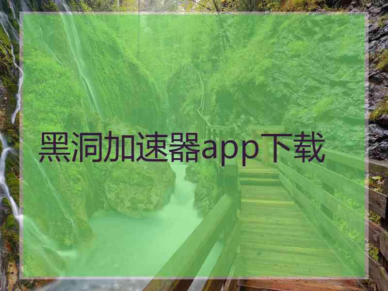 黑洞加速器app下载