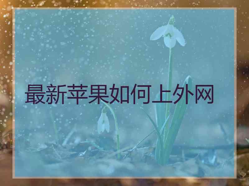 最新苹果如何上外网