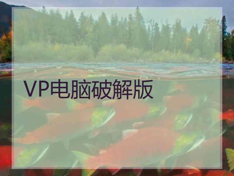 VP电脑破解版