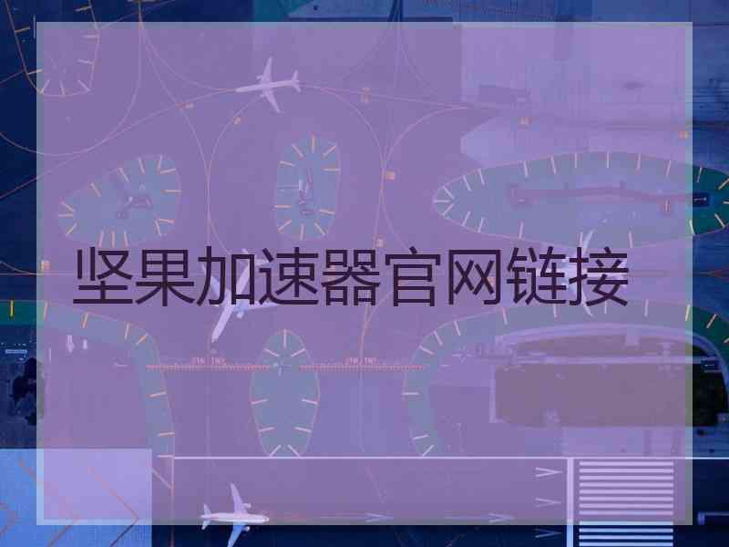 坚果加速器官网链接