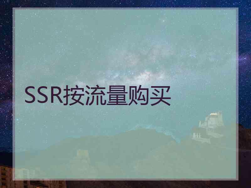 SSR按流量购买