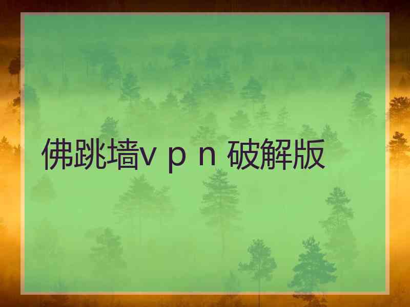 佛跳墙v p n 破解版