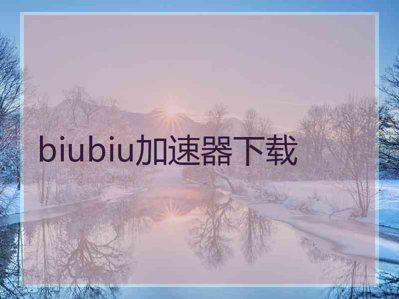 biubiu加速器下载