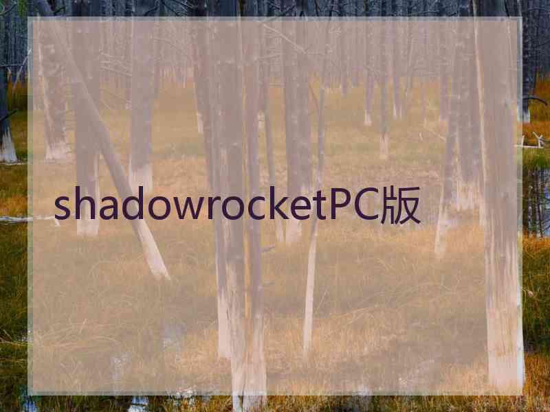 shadowrocketPC版