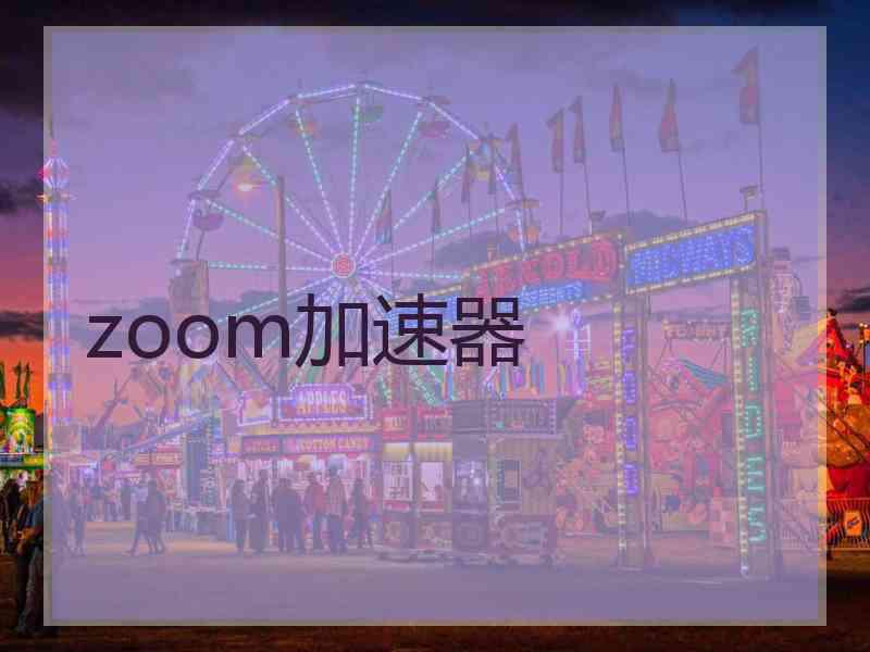 zoom加速器