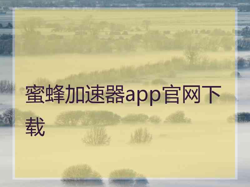 蜜蜂加速器app官网下载