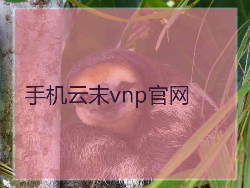 手机云末vnp官网