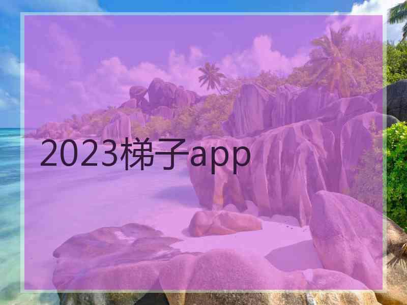 2023梯子app