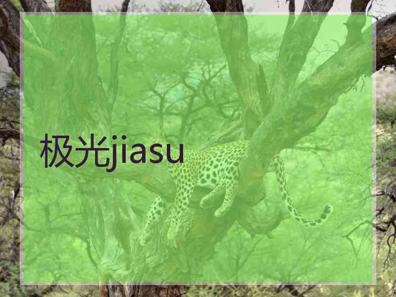 极光jiasu