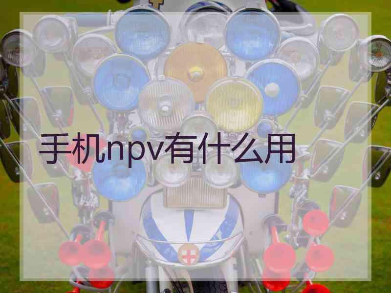 手机npv有什么用