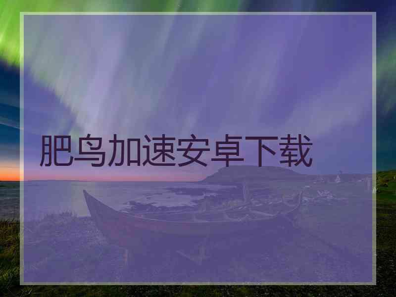 肥鸟加速安卓下载