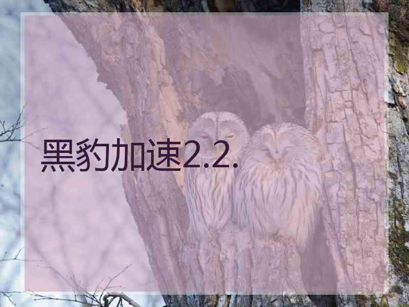 黑豹加速2.2.