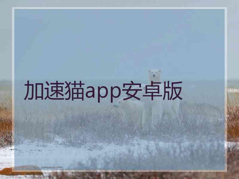 加速猫app安卓版