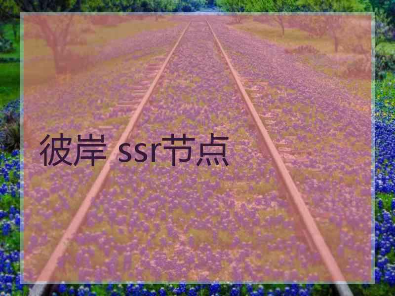 彼岸 ssr节点