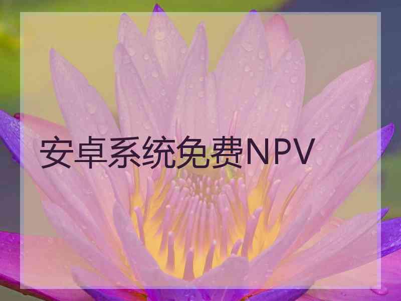 安卓系统免费NPV