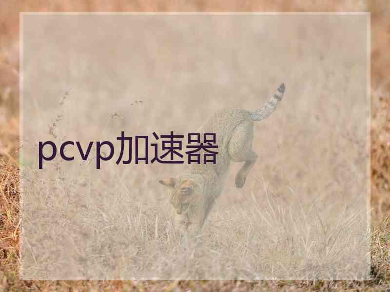 pcvp加速器