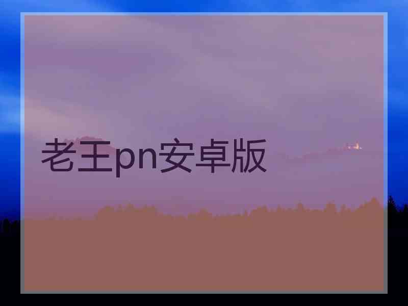 老王pn安卓版