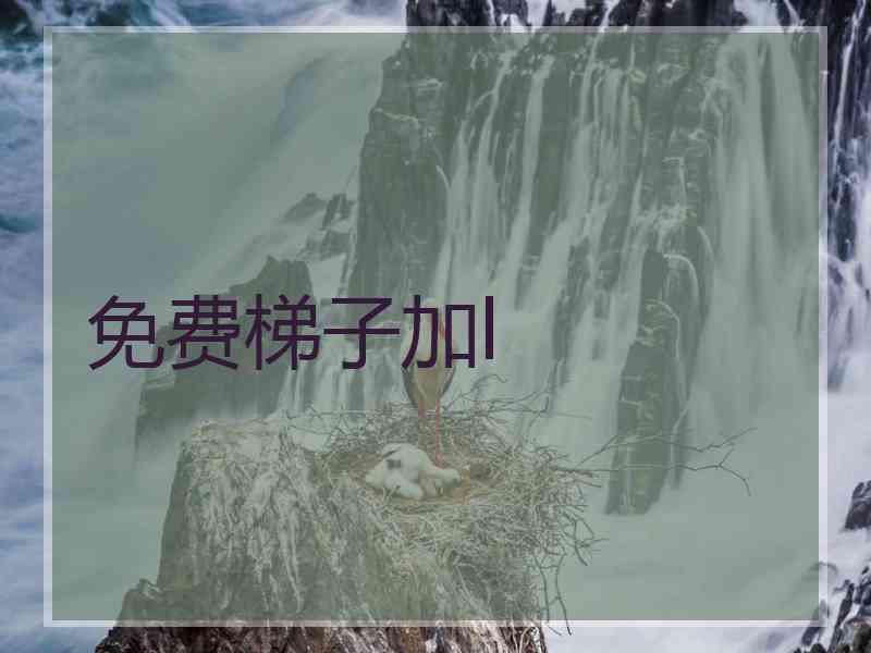 免费梯子加l