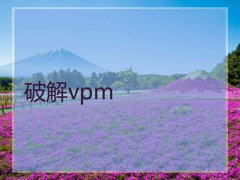 破解vpm