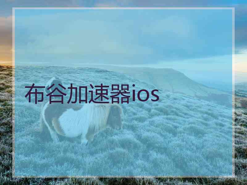 布谷加速器ios