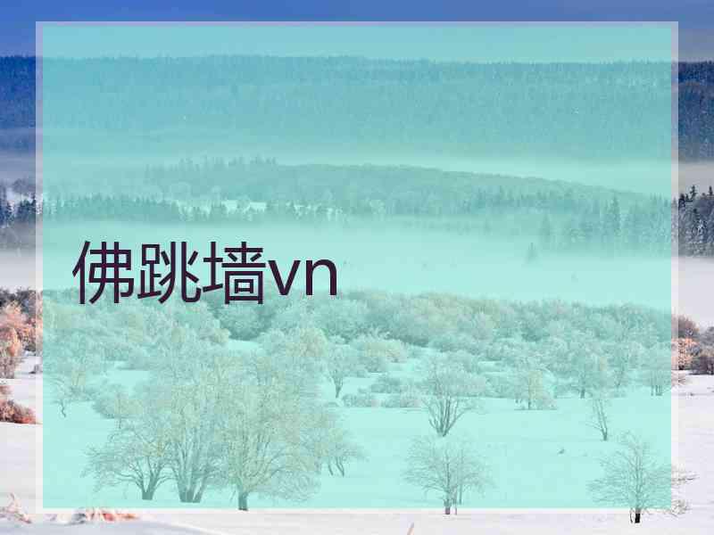 佛跳墙vn