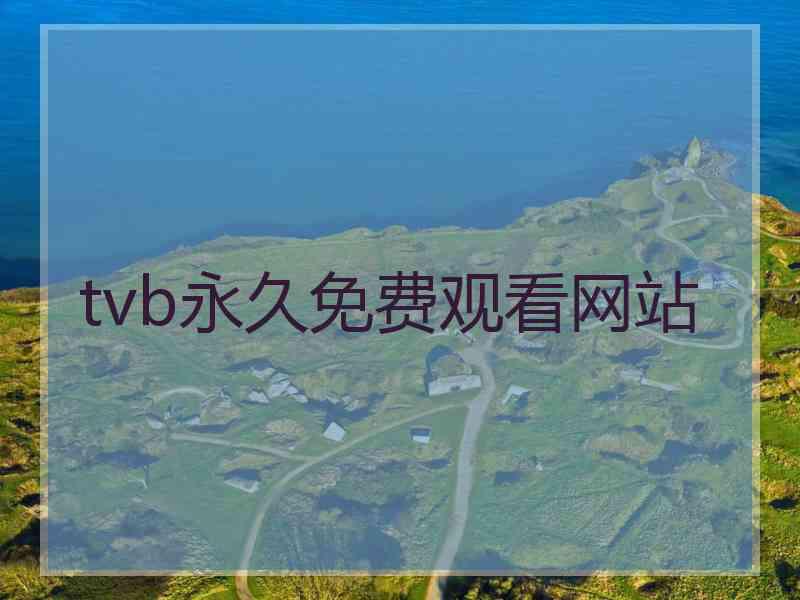 tvb永久免费观看网站