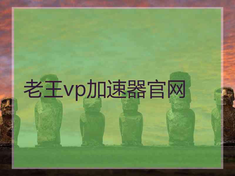 老王vp加速器官网