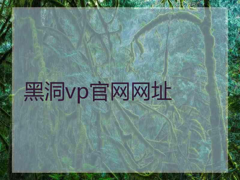 黑洞vp官网网址