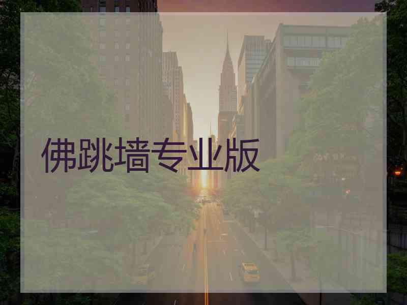 佛跳墙专业版