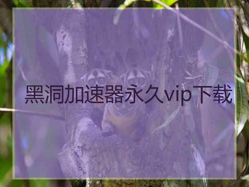 黑洞加速器永久vip下载