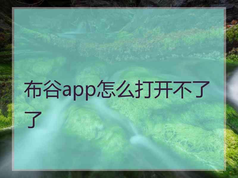 布谷app怎么打开不了了