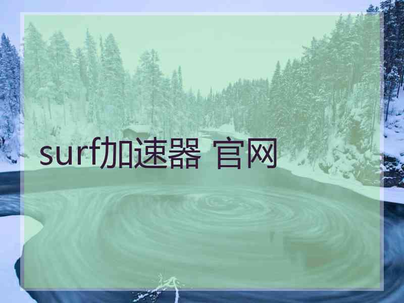 surf加速器 官网