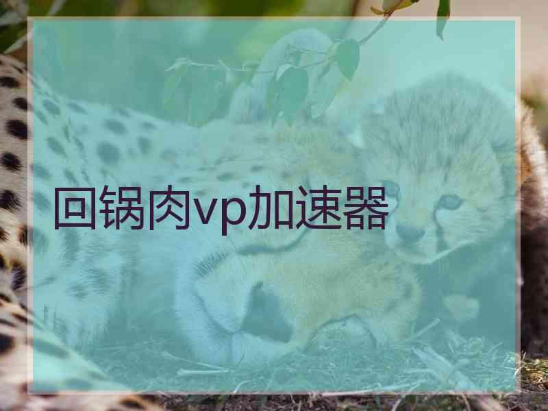 回锅肉vp加速器