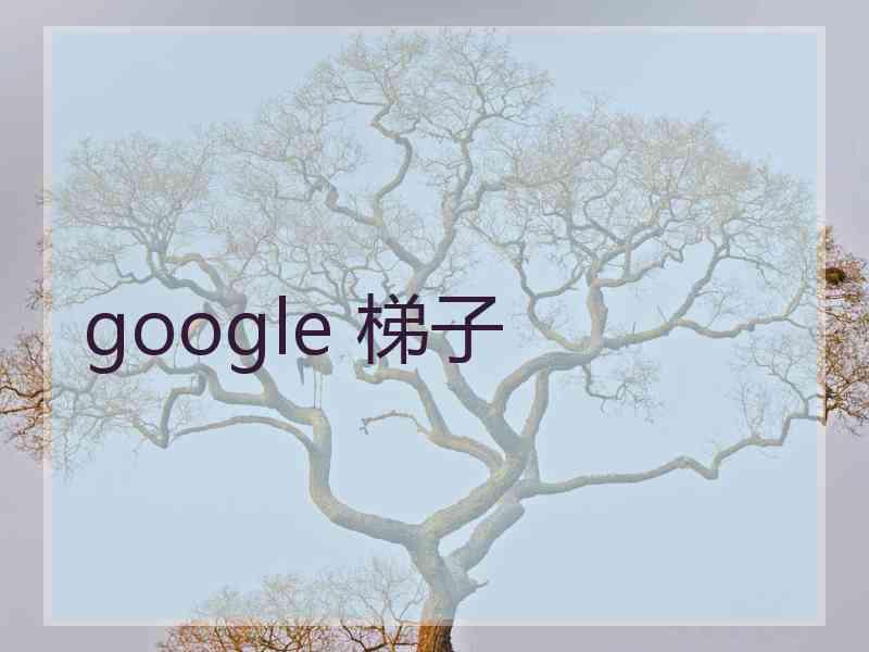 google 梯子