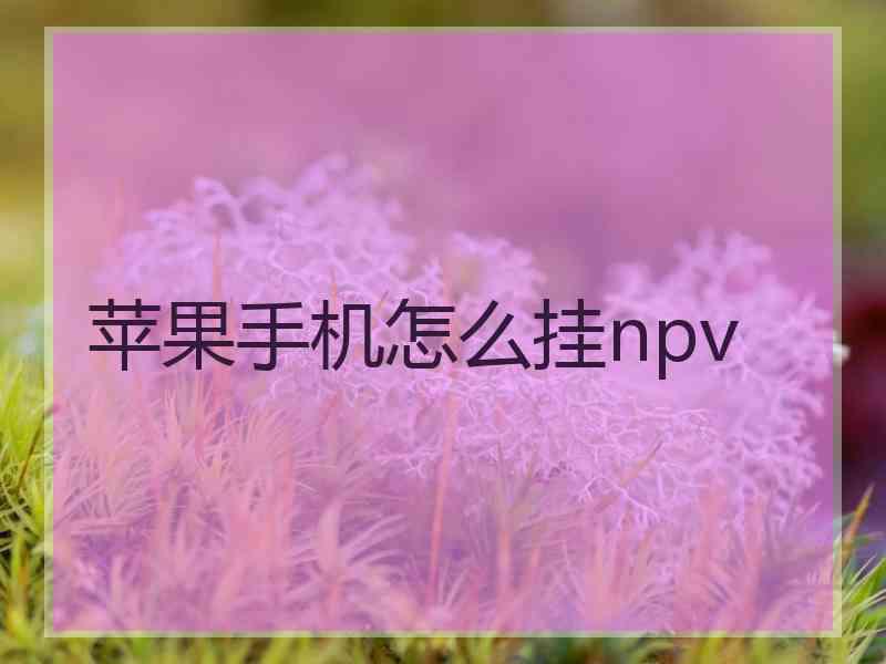 苹果手机怎么挂npv