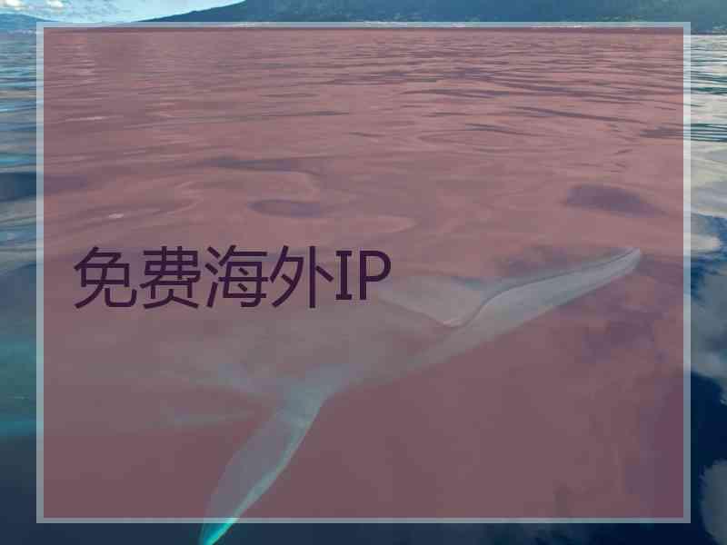 免费海外IP