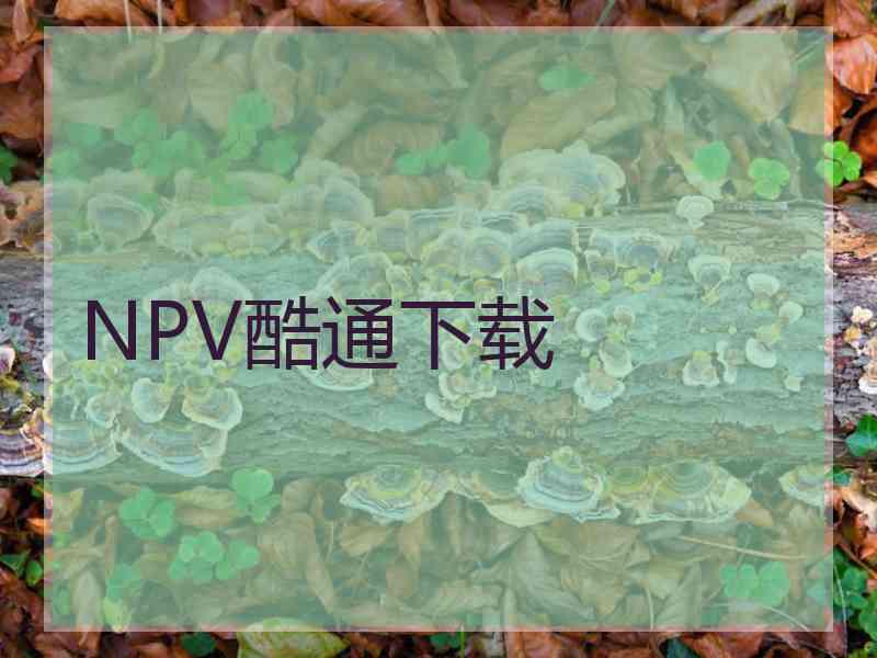 NPV酷通下载