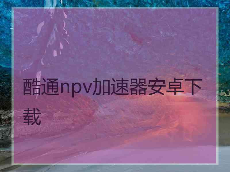 酷通npv加速器安卓下载