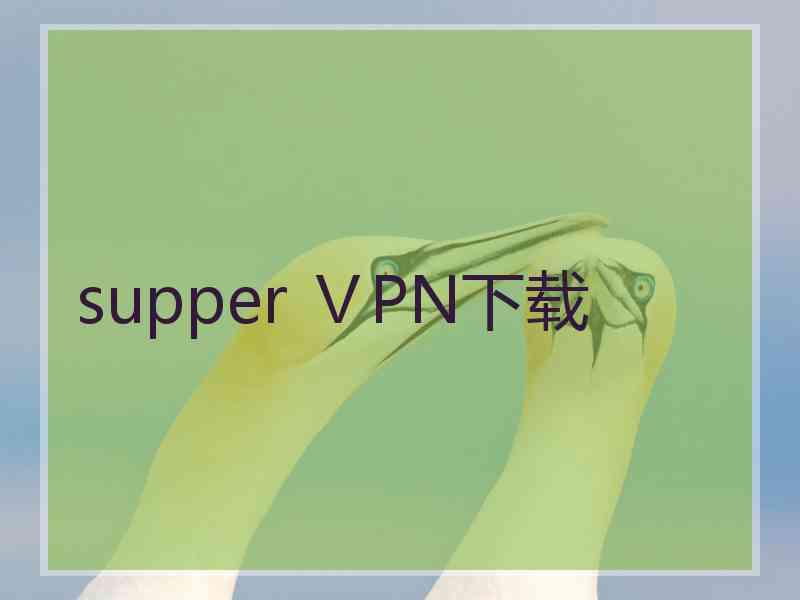 supper ⅤPN下载