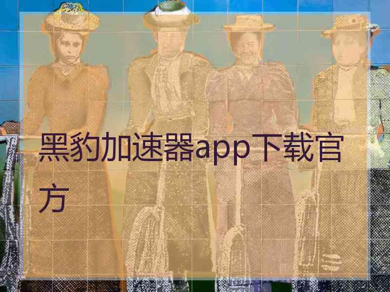 黑豹加速器app下载官方