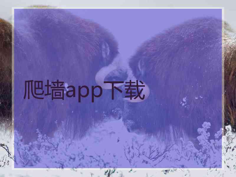 爬墙app下载