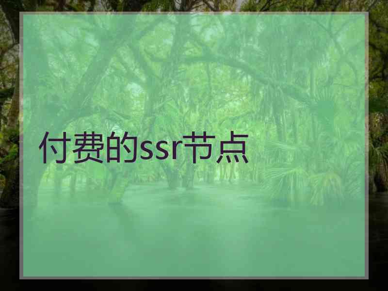 付费的ssr节点