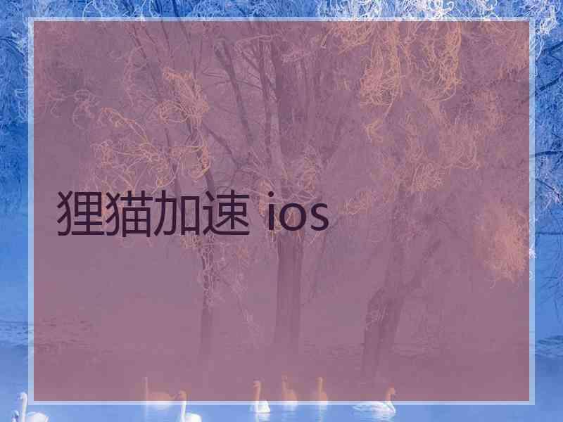 狸猫加速 ios